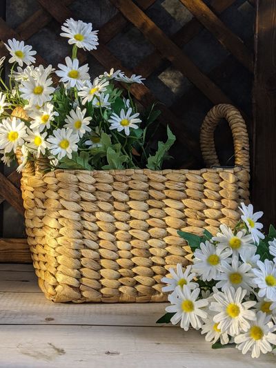 Close-up of flowering plants in basket
