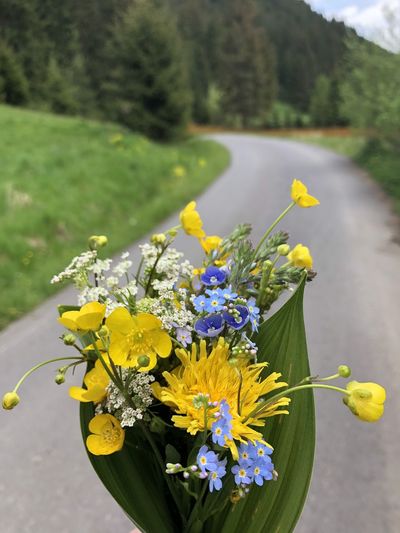 Flowers bouquet in spring