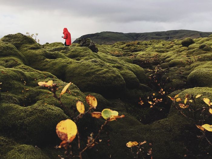 Person standing on moss covered rocks against sky