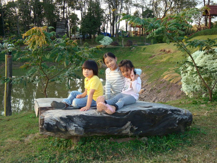 Portrait of siblings sitting on wood by lake at park