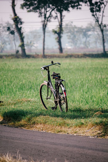 Bicycle on road by field