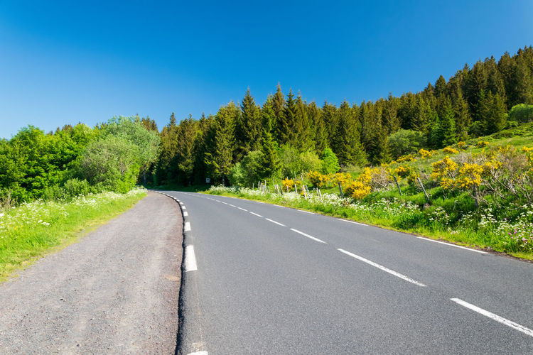 Road amidst trees against sky