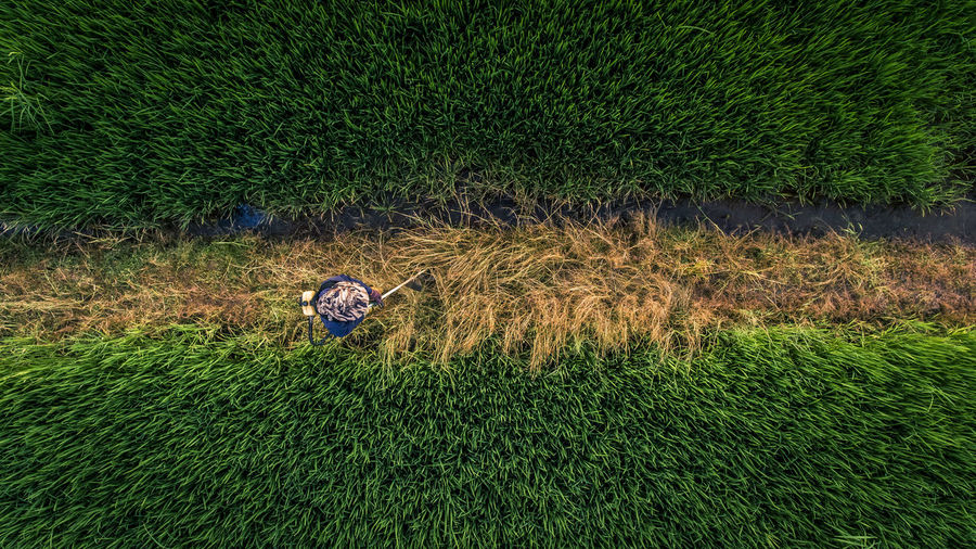 High angle view of man working on field