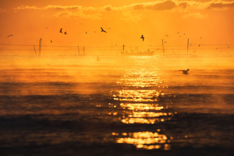 Silhouette birds flying over sea against sky during sunset