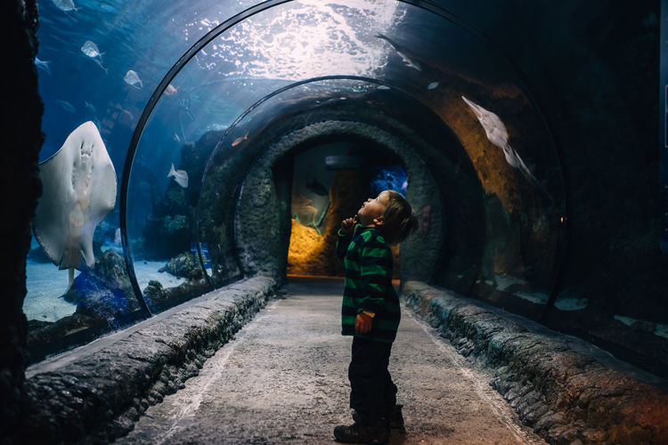 Little boy looking up at manta rays on aquarium ceiling