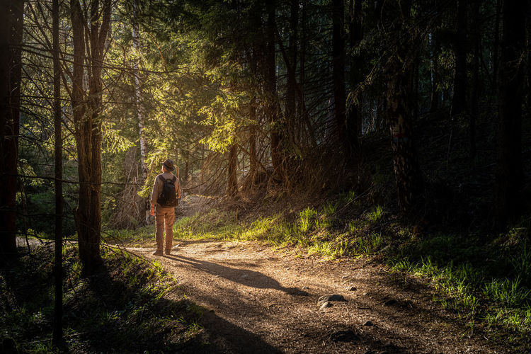 Man standing on dirt road in forest