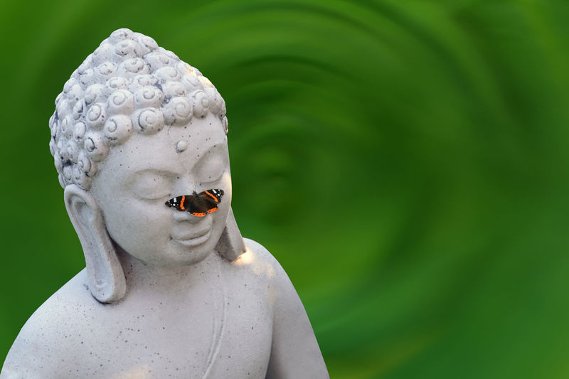 Close-up of butterfly on buddha statue against green background