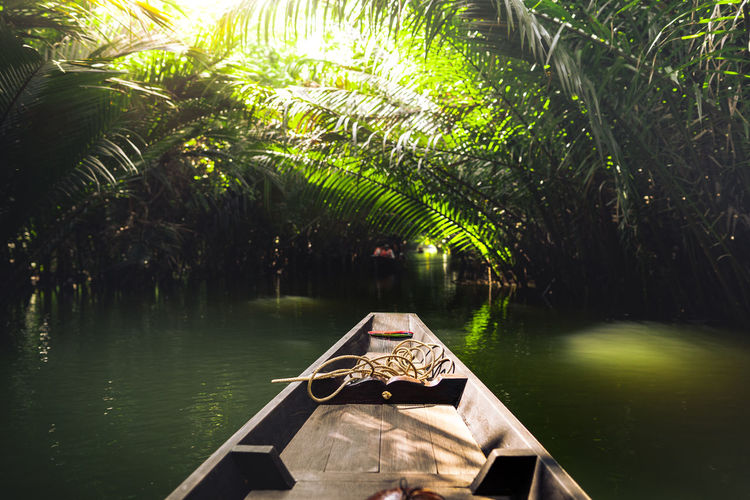 Scenic view of lake in forest