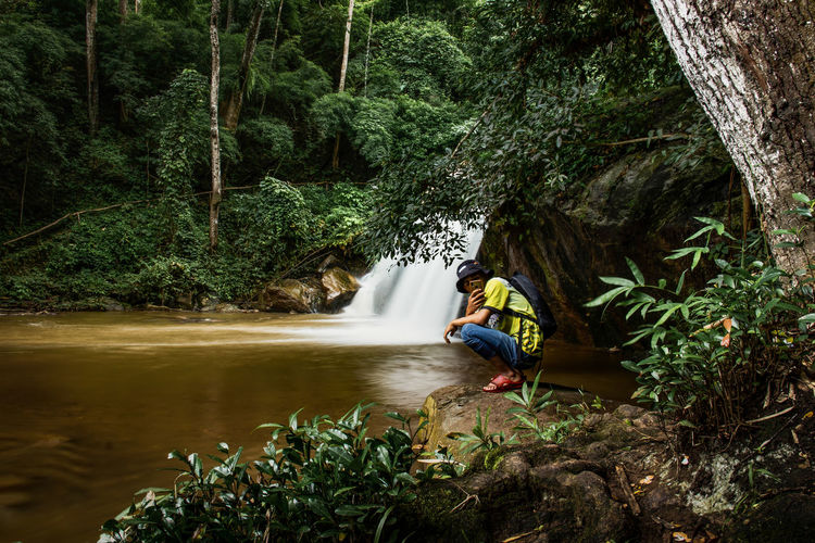 View of waterfall in forest