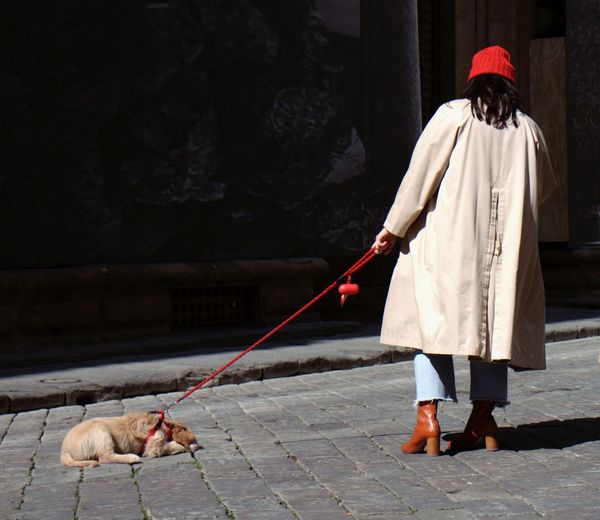 Rear view of woman with dog walking