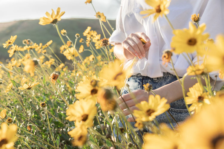Woman holding flower in yellow flower field in ad