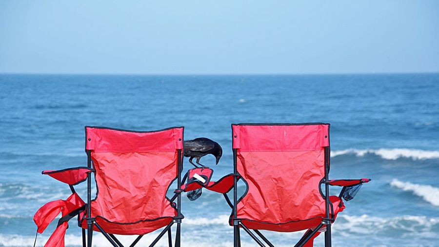 Red chairs against blue sea and clear sky