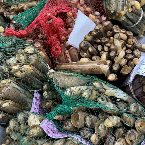 High angle view of varied shellfish for sale at market stall in cadiz, spain.