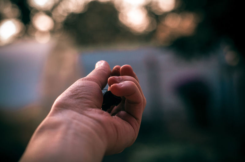 Close-up of person holding hands