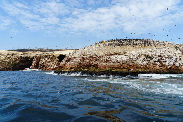 Flock of birds on rocks by sea against sky