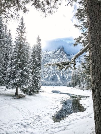 Scenic view of snow covered landscape