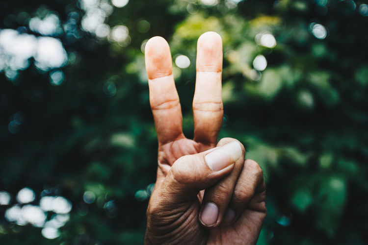 Close-up of person hand gesturing peace sign against trees