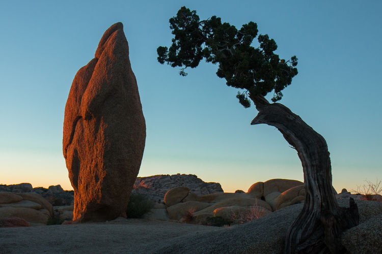 Rock formation and tree against sky