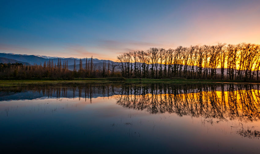 reflection