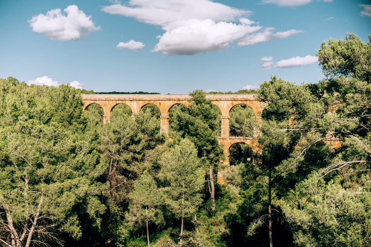 Leveled viaduct bridge in the forest