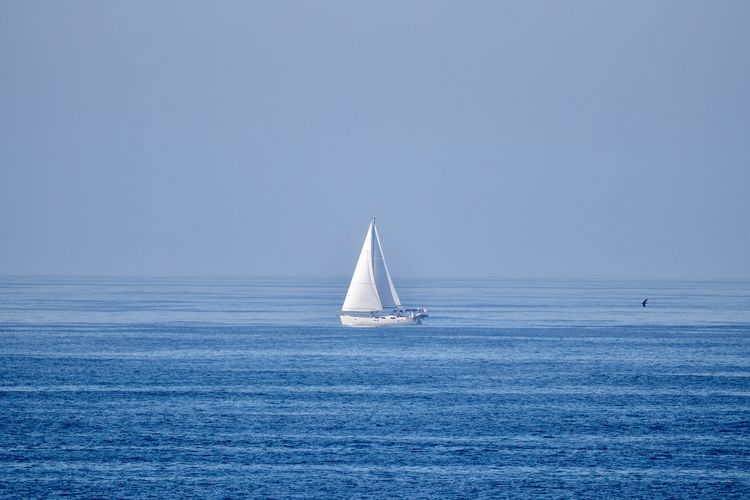 Sailboat sailing in sea against clear sky