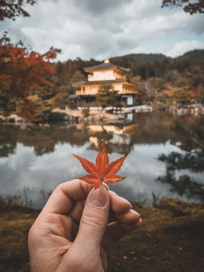 Close-up of hand holding maple leaf during autumn