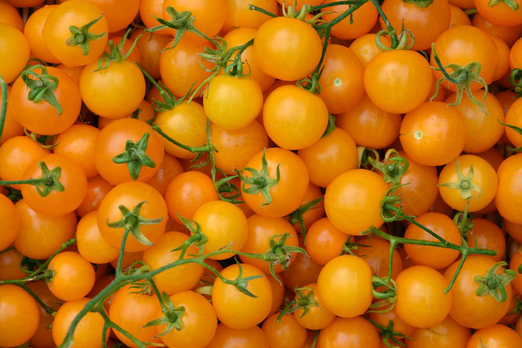 Full frame shot of orange tomatoes