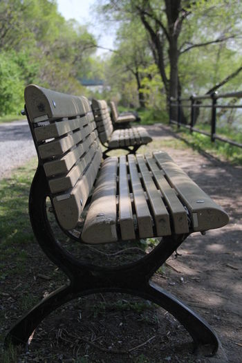 Close-up of seat against trees