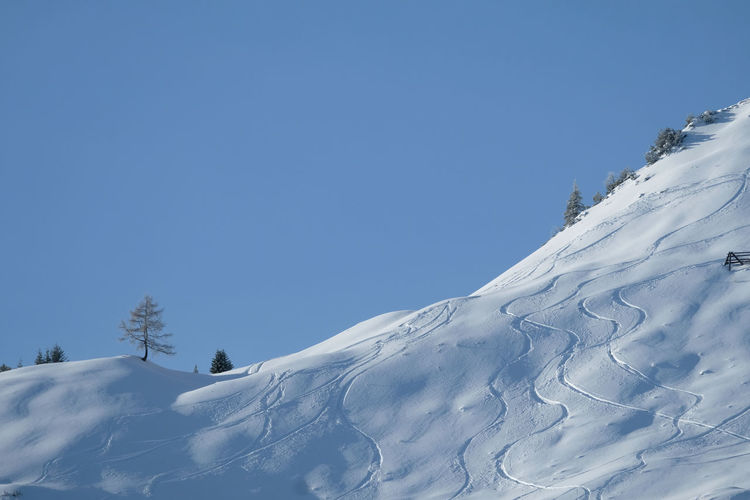 Off-piste skiing and first tracks in the untouched deep powder snow in a severe mountain.