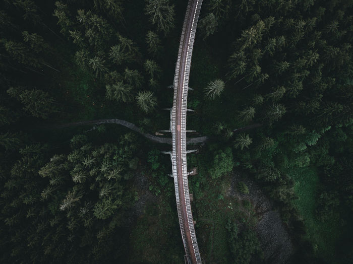 Aerial view of bridge amidst forest