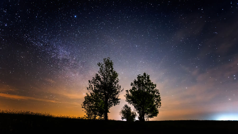 Scenic view of silhouette trees against star field at night
