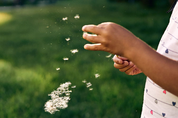 Midsection of child playing with dandelion