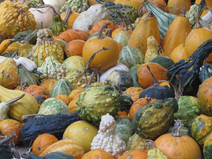 Full frame shot of pumpkins for sale at market stall
