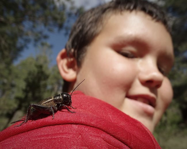 Close-up of a boy with insect