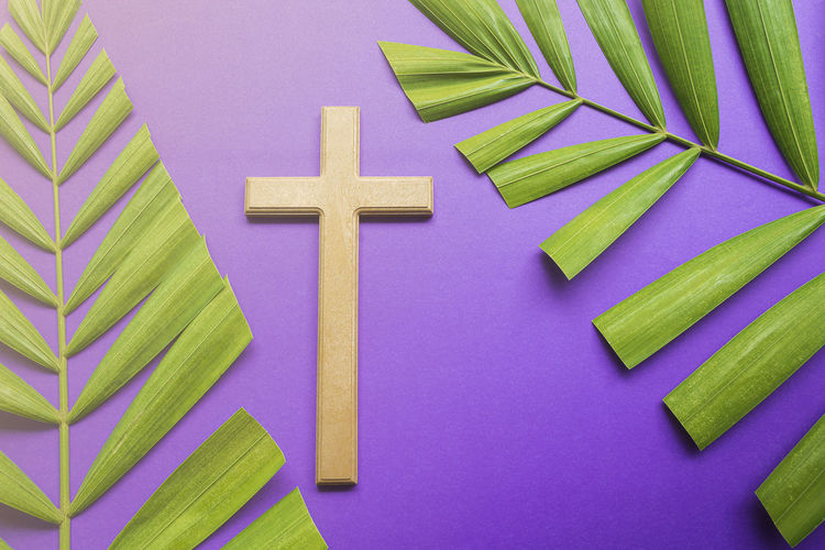 Good friday, palm sunday, ash wednesday, lent season and holy week concept. cross and palm leaves.