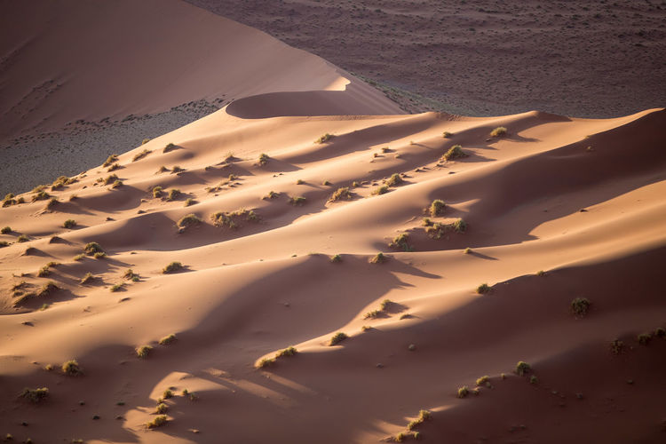 High angle view of sand dune in desert