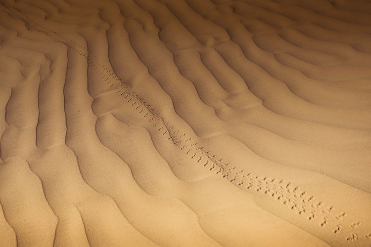 Full frame shot of sand at desert