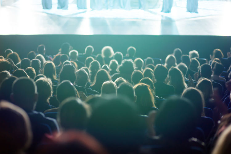 Rear view of people enjoying at music concert