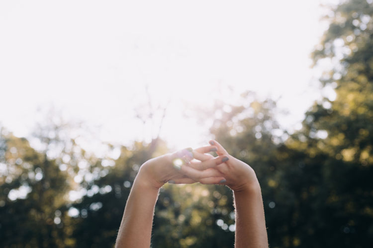 Hands raised and intertwined against horizon of trees 