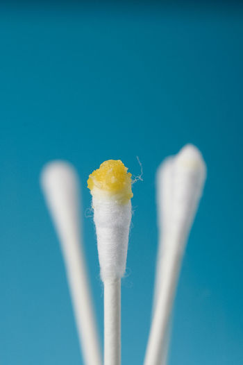 Close-up of cotton swabs against blue background