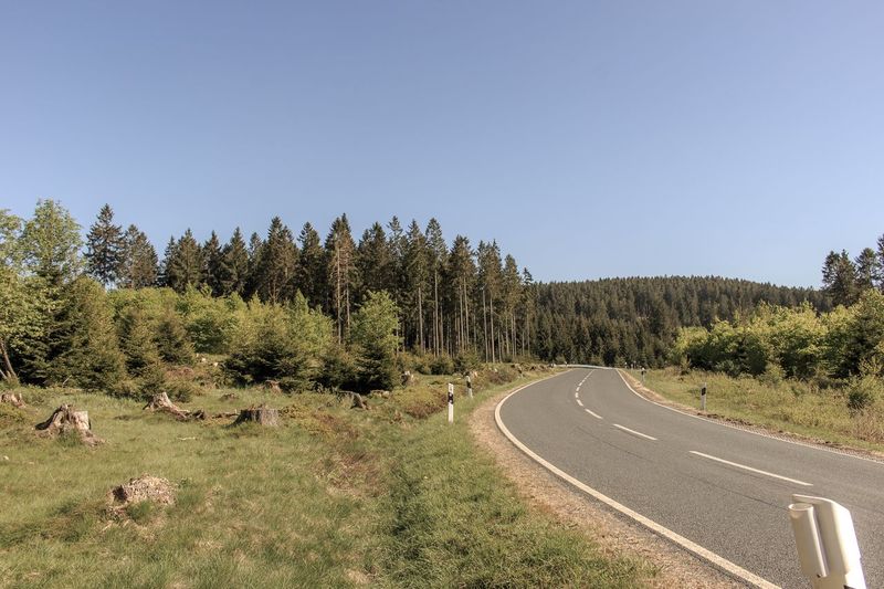 Panoramic view of road amidst trees against clear sky