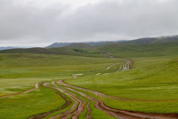 Multi-lane dirt road towards the misty hillside of the orkhon valley in mongolia.