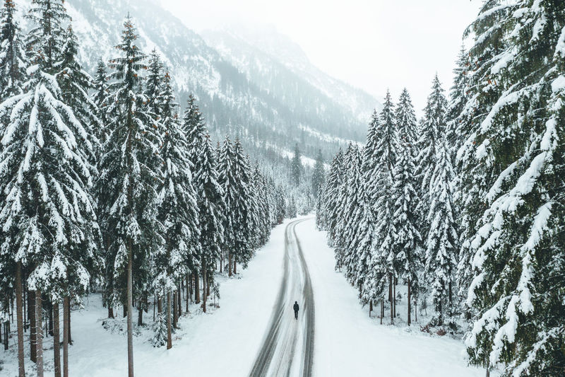 Snow covered road amidst trees and mountains during winter