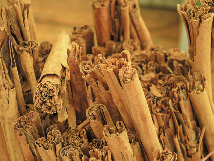 Close-up of carving on wood