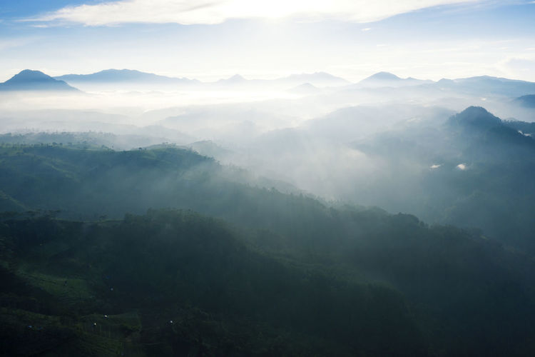 Aerial view of forest with mountains during sunrise