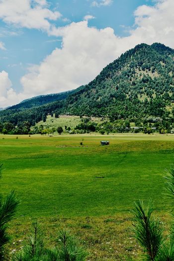 Beautiful view of a golf course at pahalgam kashmir, india.