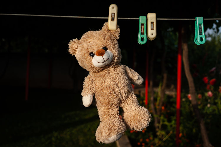Stuffed toy hanging on clothesline