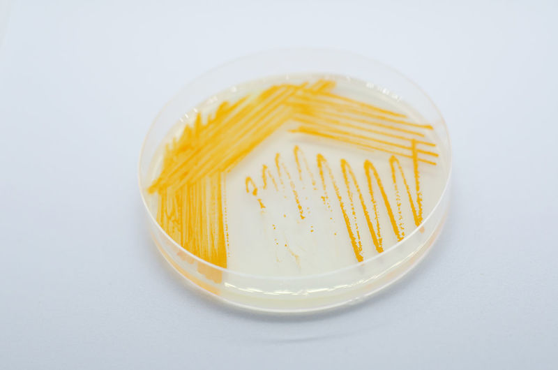 High angle view of drink in bowl on table