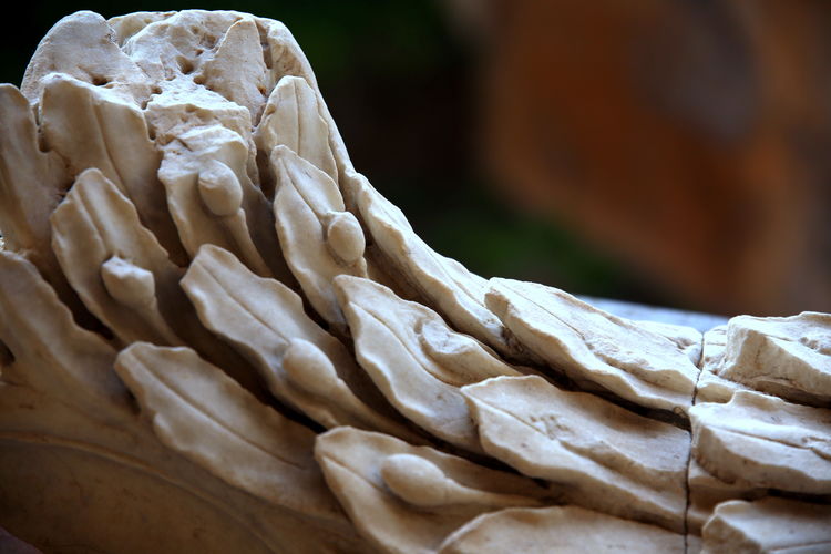Public exhibition of marble's unknown fragment of one old roman decoration