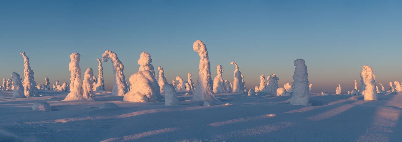 Snow packed trees on a snowy hill in finnish lapland